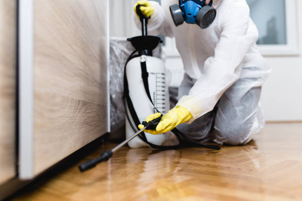 Best Pest Inspection Near Me  in Plains, MT