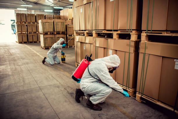 Best Pest Removal Services  in Plains, MT