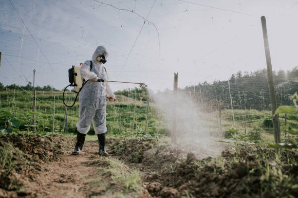 Best Best Pest Control Companies  in Plains, MT