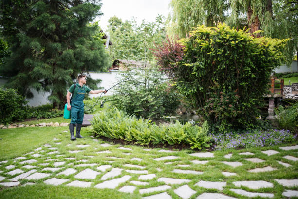 Best Pest Removal Services  in Plains, MT