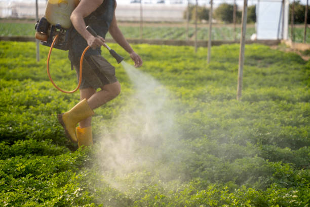 Professional Pest Control in Plains, MT