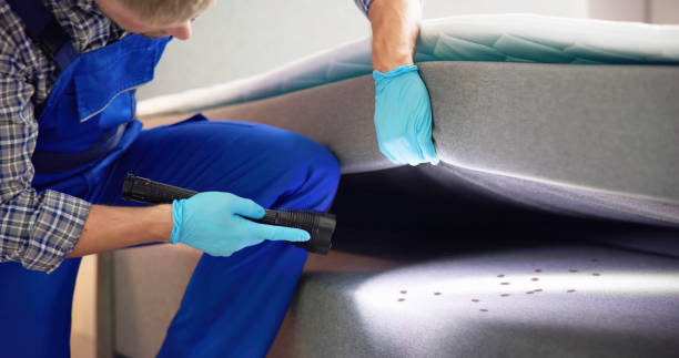Best Pest Prevention Services  in Plains, MT