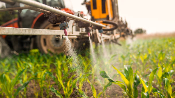 Best Wildlife Control Services  in Plains, MT